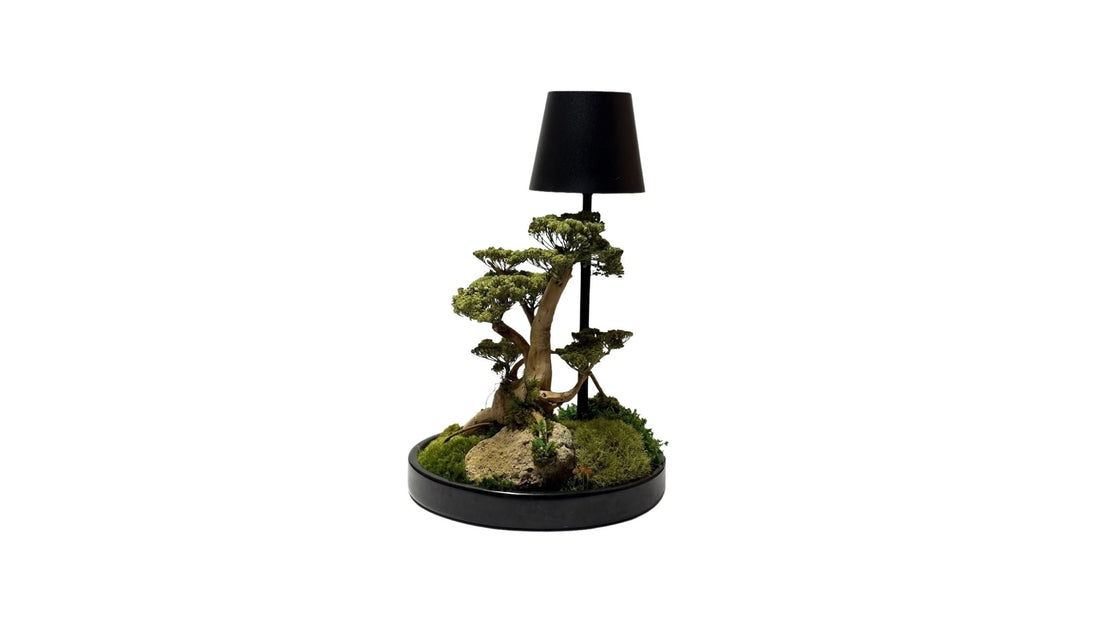 The Art of Stillness: How Bonsai Moss Lamps Bring Nature & Calm Indoors