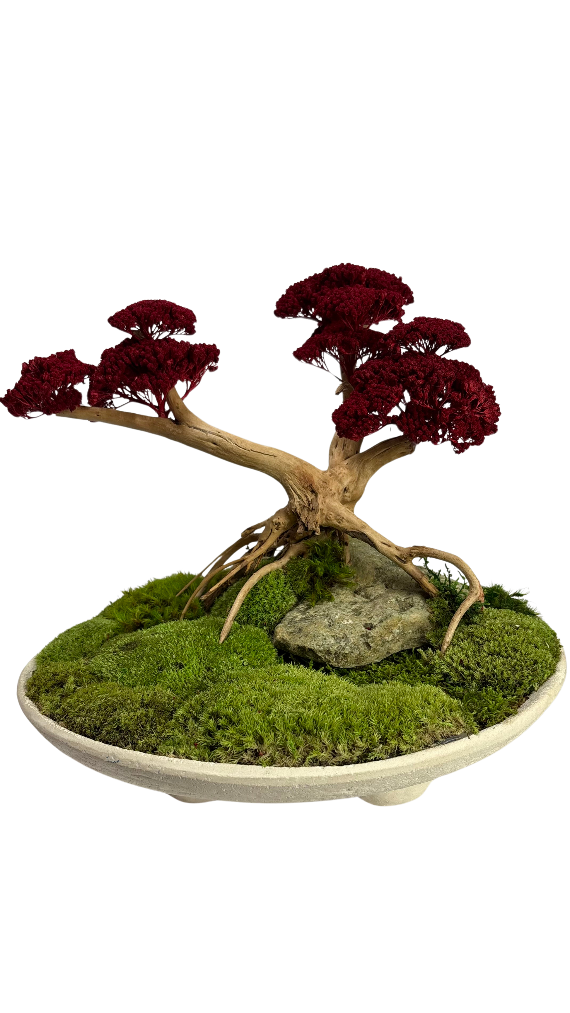Crimson Serenity Preserved Bonsai – Limited Edition Moss Art by MBD Biophilic Design