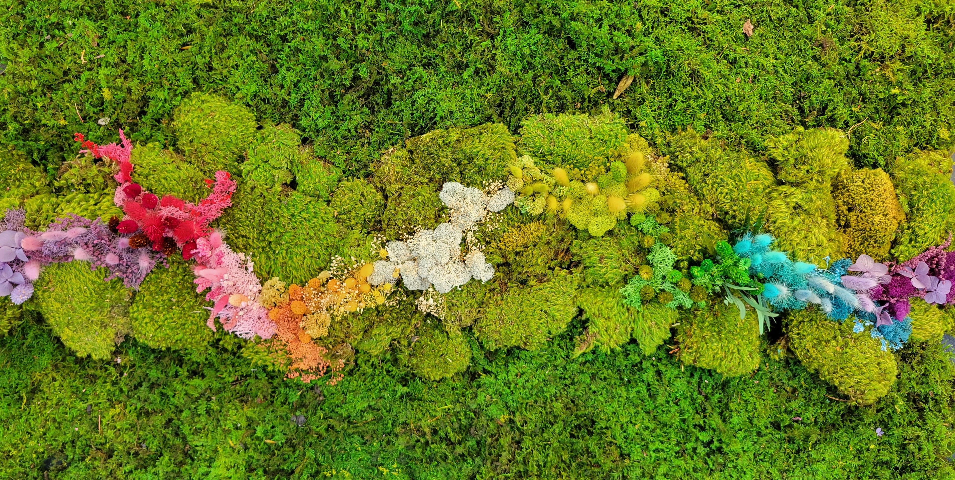 Colorful decorative ribbon on a green moss background