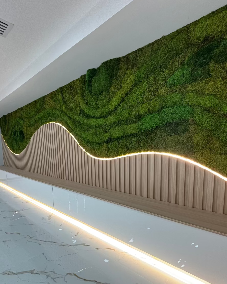 Modern interior wall featuring a sculptural preserved moss installation with curved design and integrated warm LED lighting, showcasing sustainable and biophilic architecture.