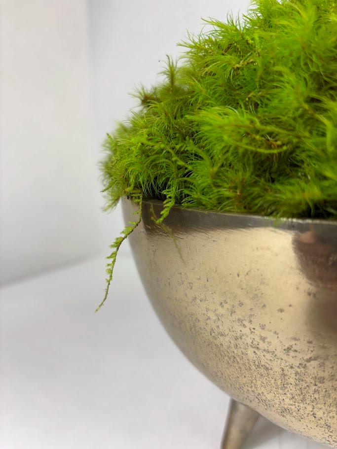 Handcrafted preserved moss bowl centerpiece for modern home decor