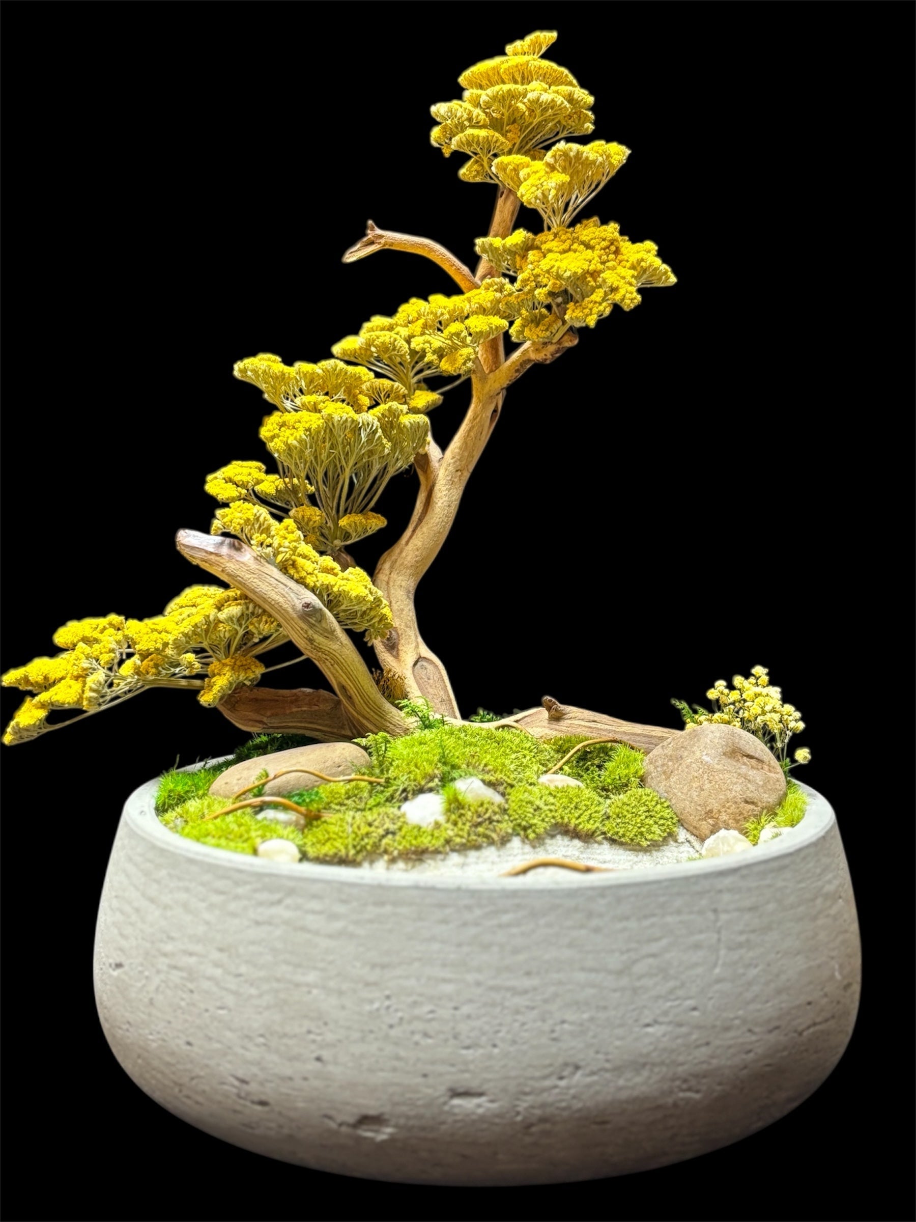 Handcrafted preserved moss terrarium with soft natural elements for modern home decor