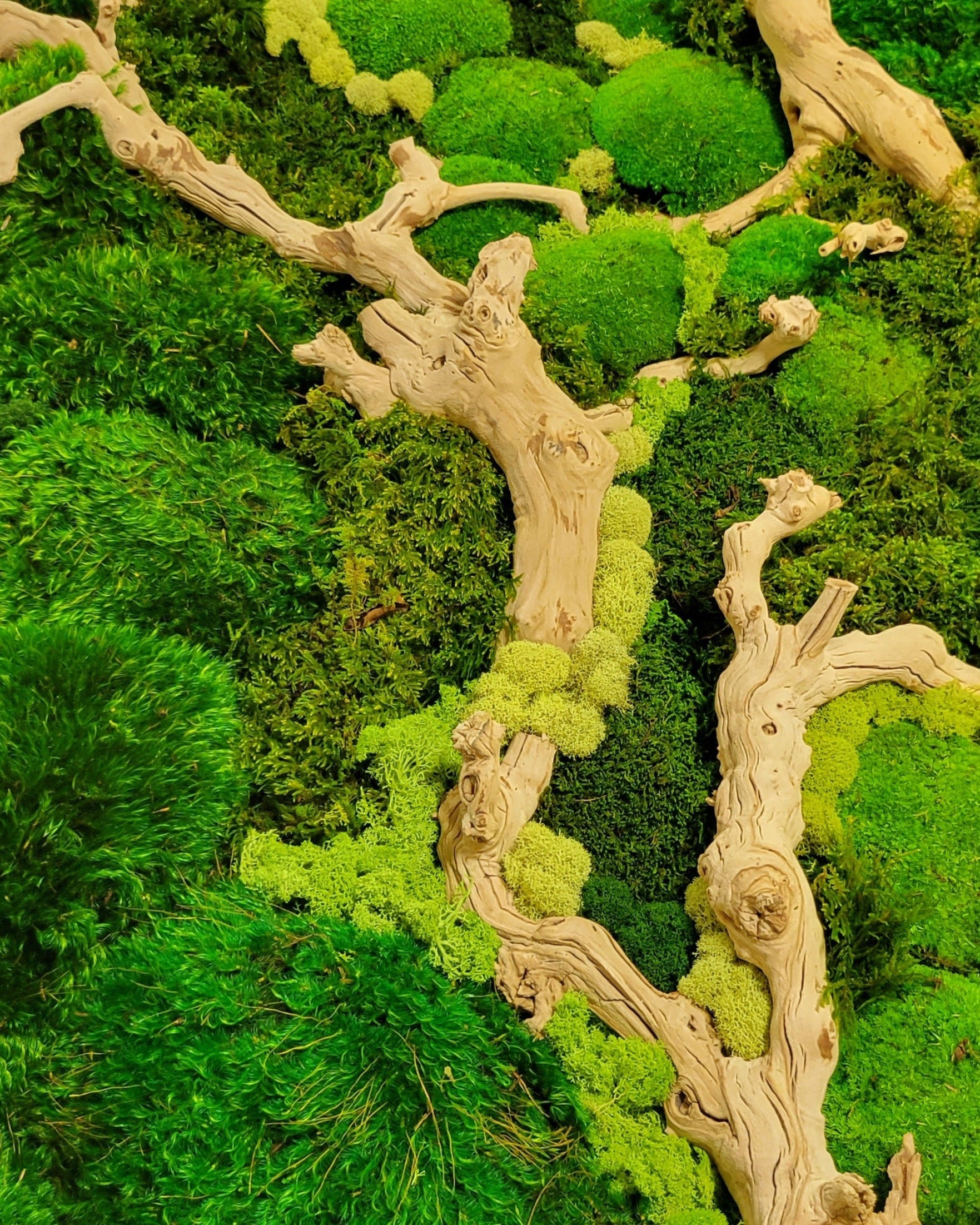 Moss wall with natural driftwood on a green background