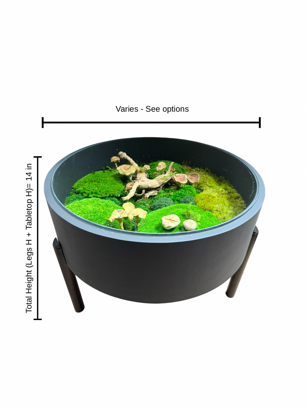 Round Terrarium Coffee Table | Modern Biophilic Design with Preserved Moss