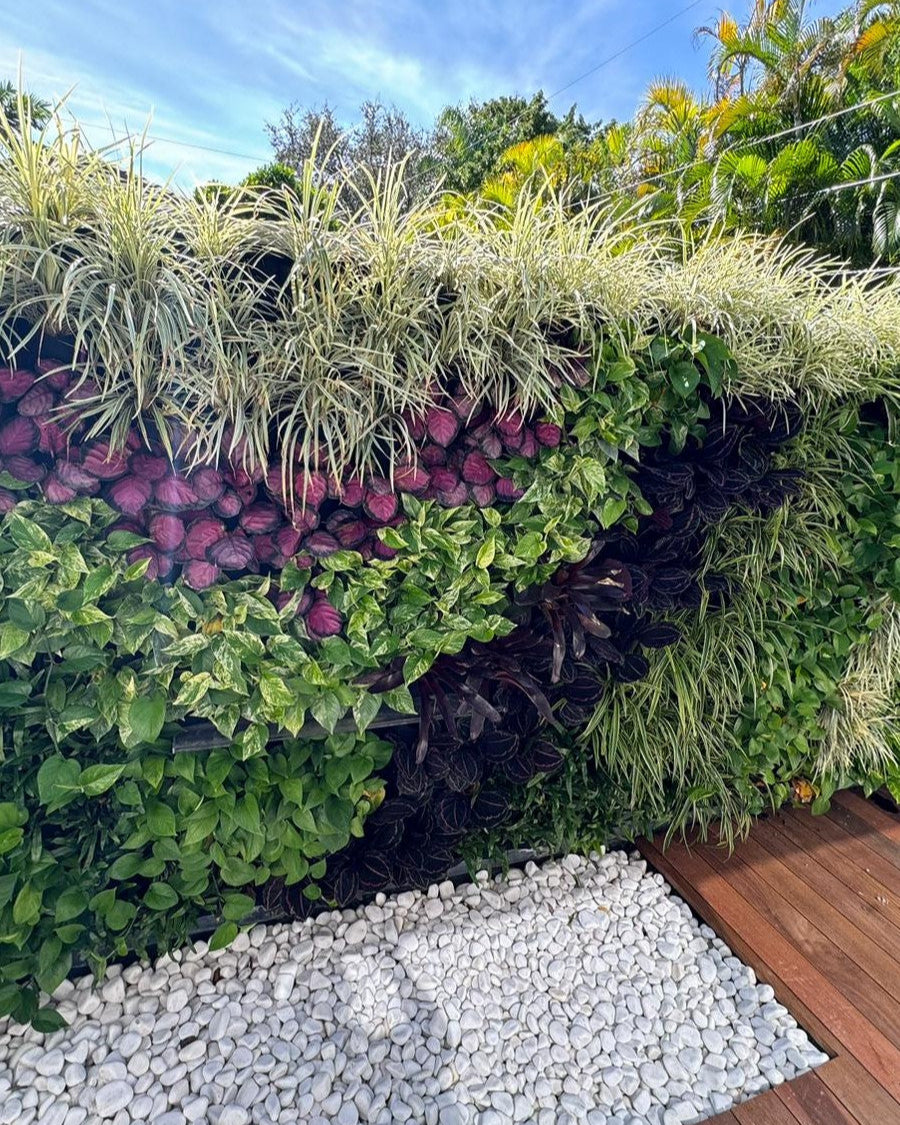 Vertical garden with a variety of plants on a wall, featuring white pebbles at the base.