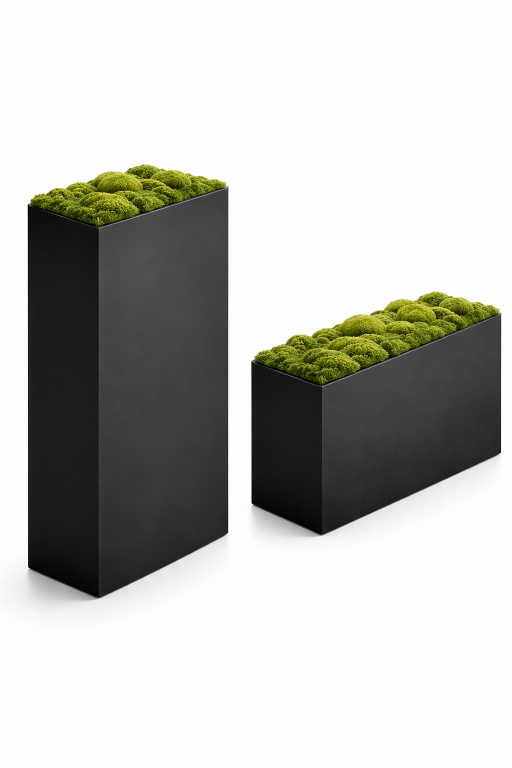 Two black rectangular planters filled with green moss on a white background