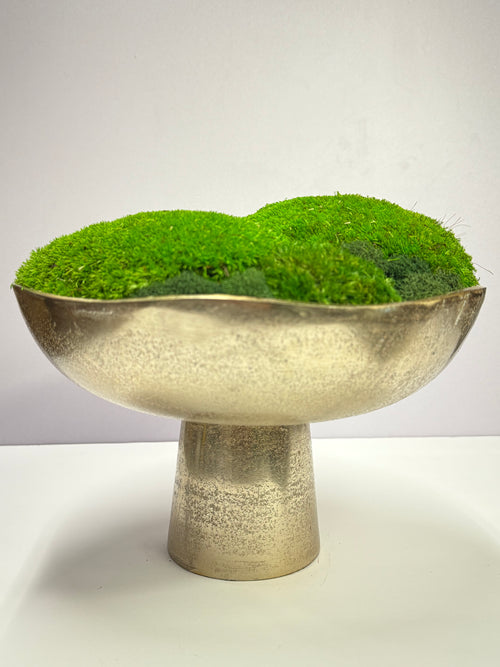 Preserved Moss Centerpiece in Gold Pedestal Bowl – Luxury Biophilic Décor