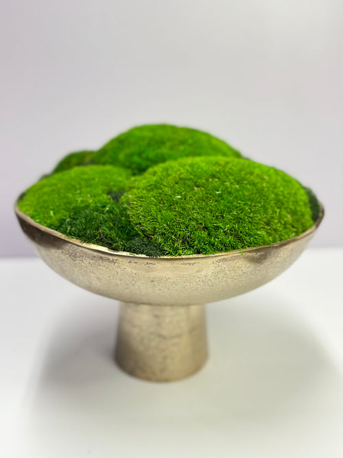 Preserved Moss Centerpiece in Gold Pedestal Bowl – Luxury Biophilic Décor
