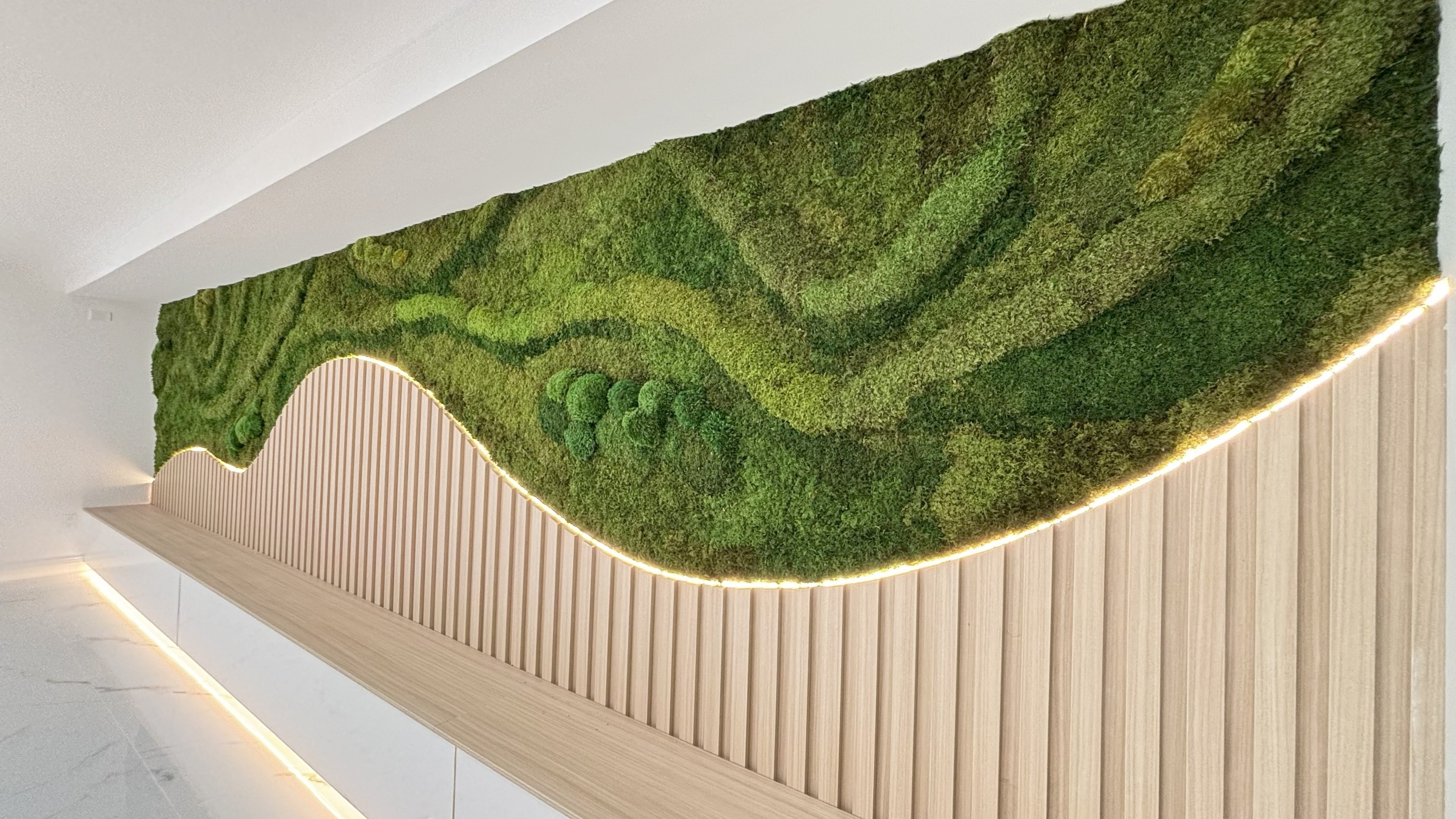 Modern interior wall featuring a sculptural preserved moss installation with curved design and integrated warm LED lighting, showcasing sustainable and biophilic architecture.