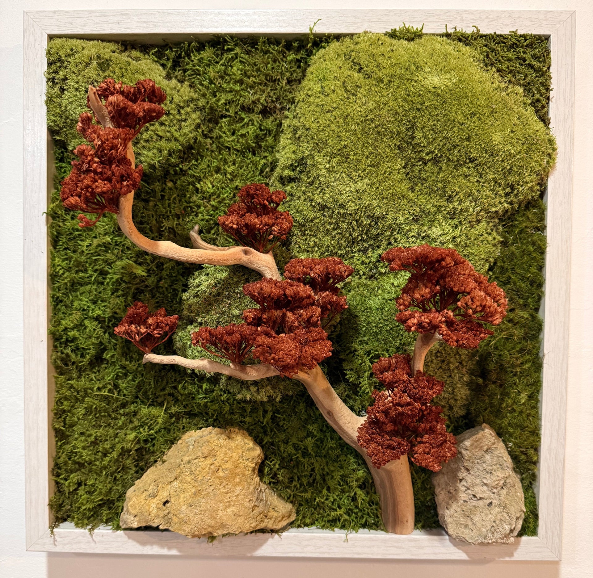 bonsai art shop Preserved Bonsai Tree Wall Art – MBD BIOPHILIC DESIGN LLC