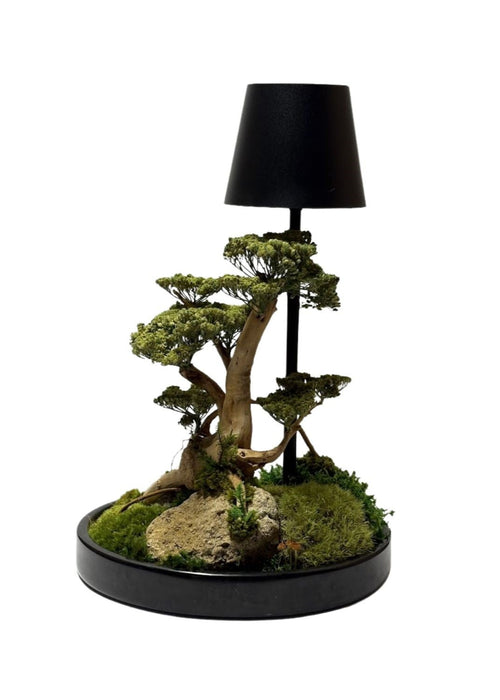 Decorative lamp with bonsai tree design on a white background