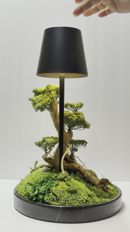 Zen moss lamp turned on with soft ambient glow, perfect for calming spaces and earthy interiors.