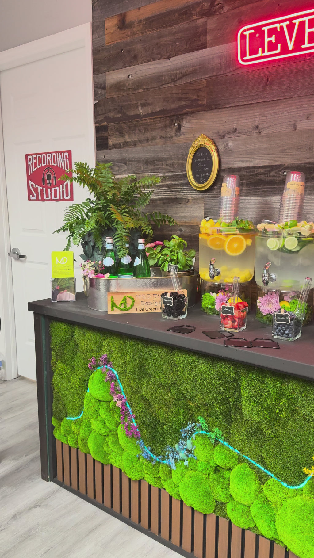 Rooted in Function | Preserved Moss Wall Art with LED Accent