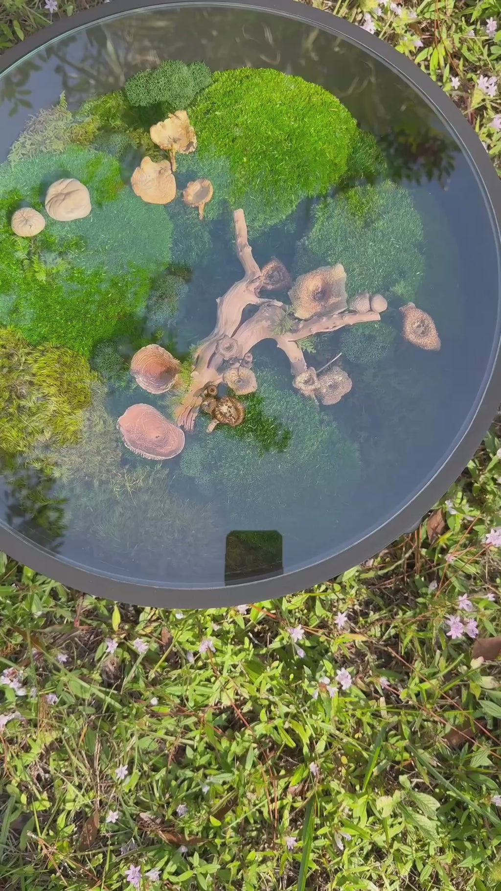 Round Terrarium Coffee Table | Modern Biophilic Design with Preserved Moss