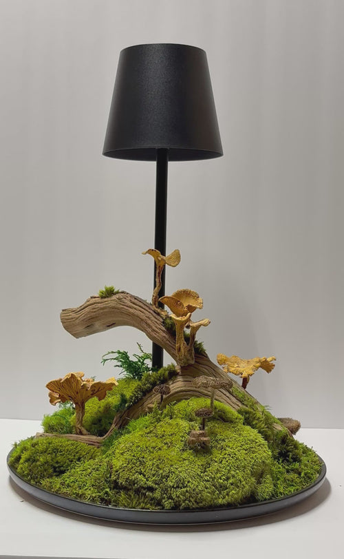 Miniature bonsai-style tree made of preserved moss under a modern lamp shade, surrounded by greenery and stones